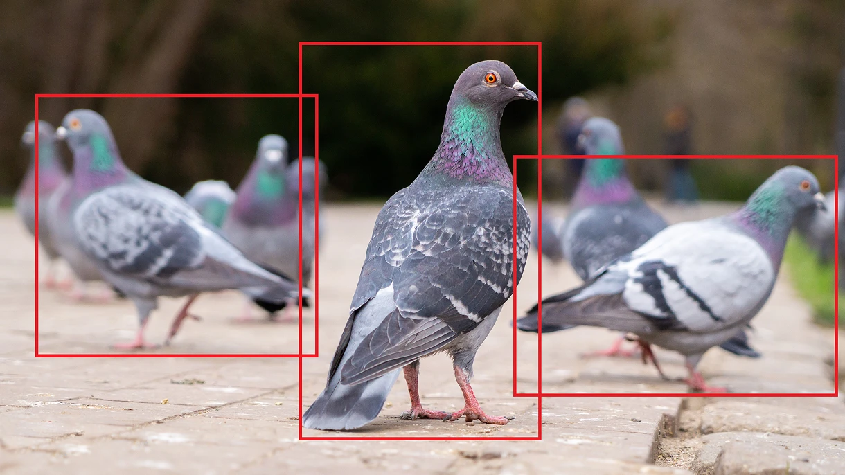 Object Sensing Main Features