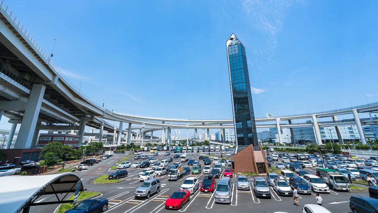 Vehicle Sensing Features